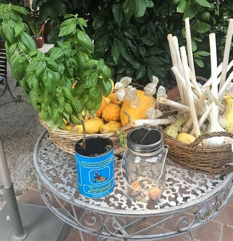 L Orto Sul Balcone E Terrazzo Orti In Affitto