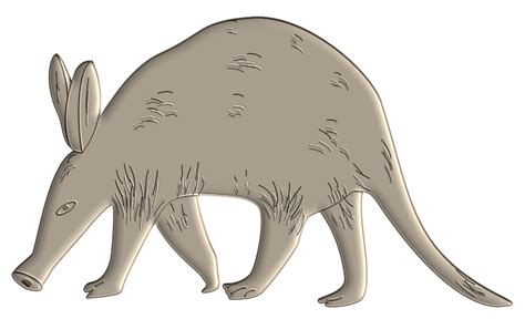 Aardvark Clipart 21 Free Cliparts Download Images On Clipground 2023