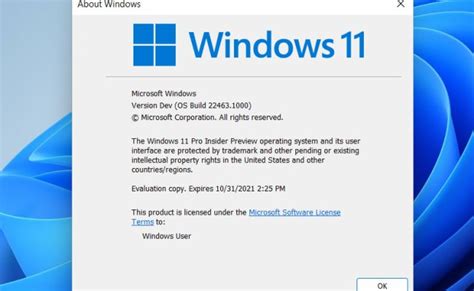 Windows 11 Requirements Bypass Tool 2024 Win 11 Home Upgrade 2024