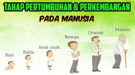 Tahap Pertumbuhan Manusia Homecare24