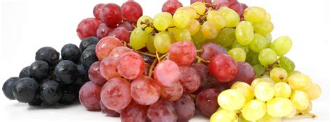 Grapes | Real Life, Good Food