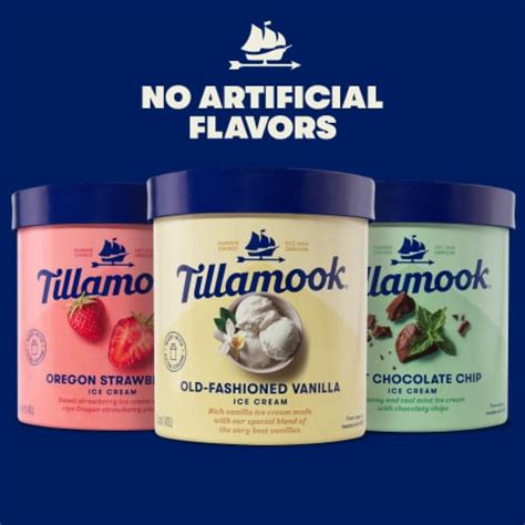 Tillamook Mint Chocolate Chip Ice Cream 48 Fl Oz Harris Teeter