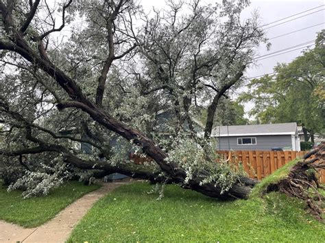 Heavy Rain Strong Winds Knock Down Trees Power Wtmj