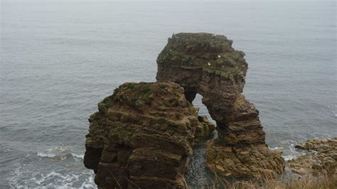 Northumberland Coastal Path — Contours Walking Holidays