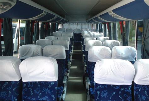 Frota De Ônibus Executivos E Convencionais Transmimo