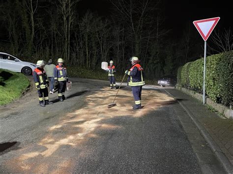 Einsatz Technische Hilfeleistung Lspur Ffw Gorxheimertal