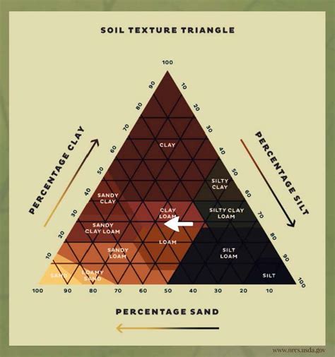 The General Soil Makeup Consists Of Clay Silt And Sand For More Tips