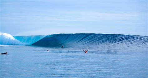 Tavarua Island Resort