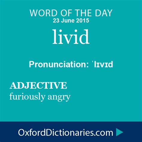 livid - definition of livid in English from the Oxford dictionary | English vocabulary words ...