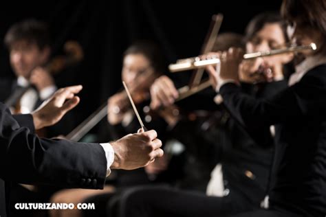 La Diferencia Entre Una Orquesta Filarm Nica Y Una Sinf Nica Chino