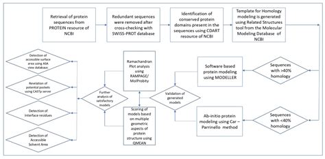 Shigella Pathogenesis Molecular And Computational Insights