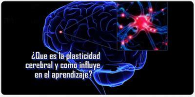 APRENDIZAJE Y PLASTICIDAD NEURONAL Teoría de Hebb