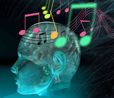 How Our Brain Distinguishes Between Voice And Sound