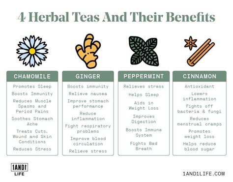 Herbal Tea Benefits Best Type For Every Health Condition