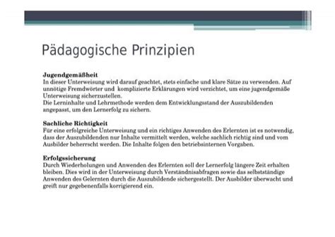 P Dagogische Prinzipien