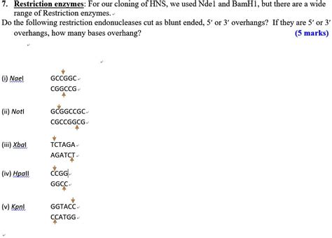 Solved Restriction Enzymes For Our Cloning Of Hns We Used Ndei And Bamhi But There Are A