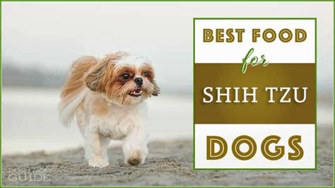 10 Best Dog Food For Shih Tzu 2022 Healthiest Options