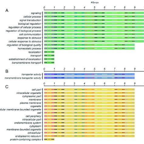 (PIN) genes identified in 19 sequenced plant genomes ...