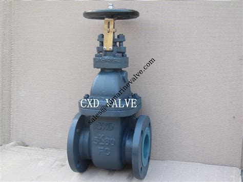 Shipbuilding Jis Marine Cast Iron Gate Valve F K F K F