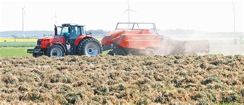 Hay Quality Poor But Prices Back To Normal The Western Producer