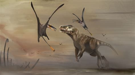 Take To The Skye New Pterosaur Discovery National Museums Scotland Blog