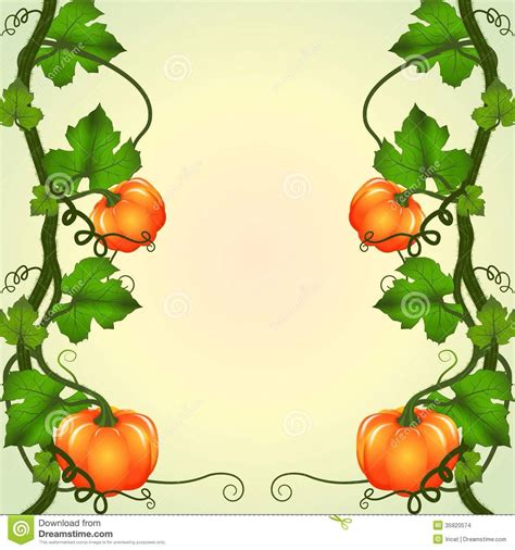 Pumpkin vine, Pumpkin vector, Vines