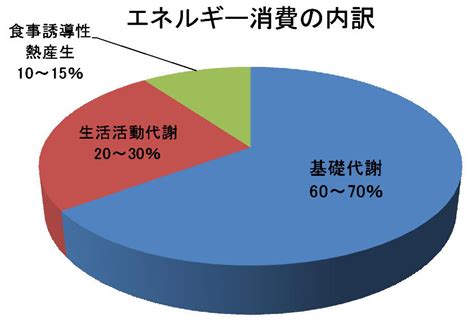 1日の消費カロリーとは？計算方法や目安まとめ【基礎代謝と運動！】