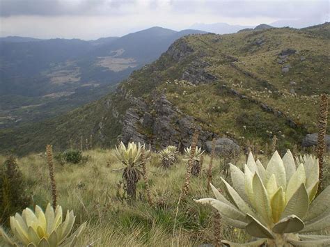 The Colombian Andes A Confluence Of Nature Civilization Lac Geo