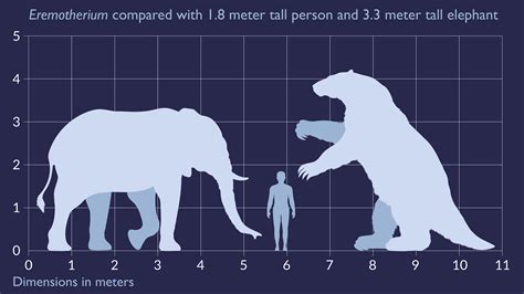 Eremotherium was the second largest ground sloth (outsized by ...