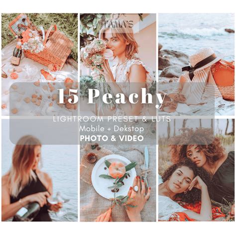 Jual 15 Peachy Preset Lightroom And Video Filter Luts Mobile Android Ios