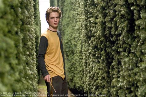 The Goblet Of Fire Robert Pattinson