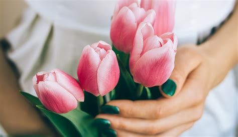 Apprenez Faire Pousser Des Tulipes Dans Un Verre Deau Jardinage Et