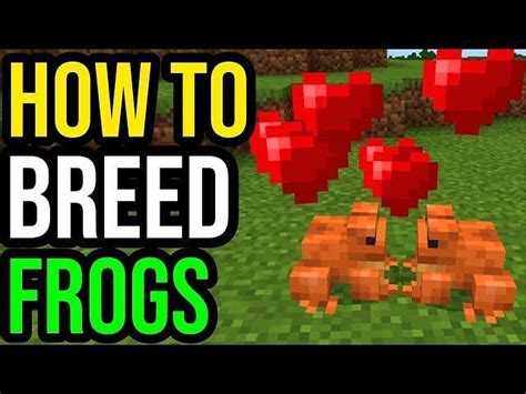 How To Tame Frogs In Minecraft 1 19 Update