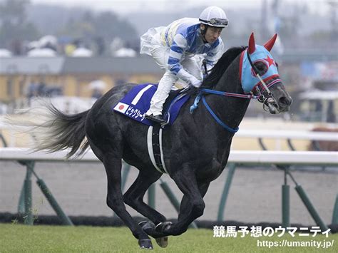 【キーンランドc】火曜追い 重賞初制覇狙うビッグシーザー札幌wコースで5ハロン65秒8｜競馬ニュース｜競馬予想のウマニティ