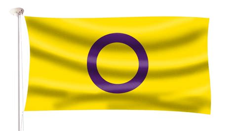 Intersex Pride Flag Hampshire Flag Company