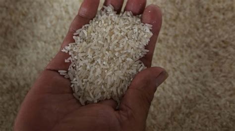 Rice Vouchers Under 2024 Budget To Benefit 28m Filipinos The Mindanao