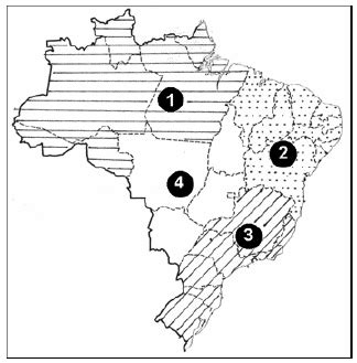 Topo 48 Imagem Os Quatro Brasis De Milton Santos Br Thptnganamst Edu Vn