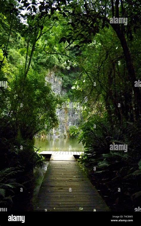 Peaceful Jungle Hi Res Stock Photography And Images Alamy