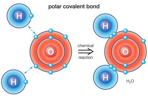 Types Of Chemical Bonds A Level Chemistry Revision Notes Covalent