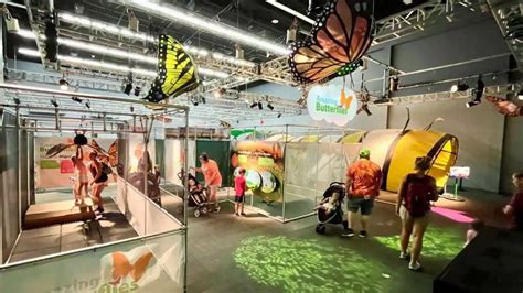 New amazing Butterfly exhibit opens at MOSI Tampa - That's So Tampa