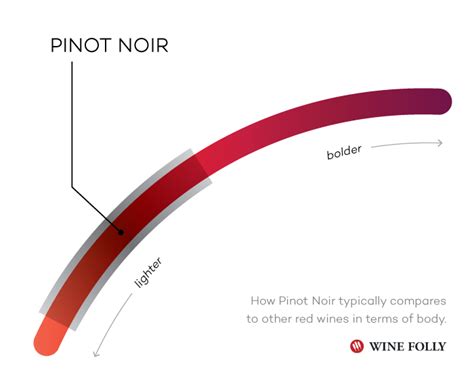 The Comprehensive Guide To Pinot Noir Wine Folly