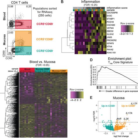 Tissue Localization Imparts A Distinct Gene Expression Profile On