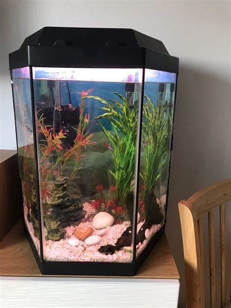 Hexagonal Fish Tank 70l With All Equipments In Houghton Regis