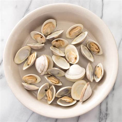 Steamed Littleneck Clams | America's Test Kitchen Recipe