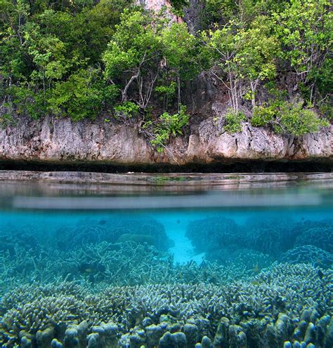 Raja Ampat Explorer Cruise South True North Adventure Cruises