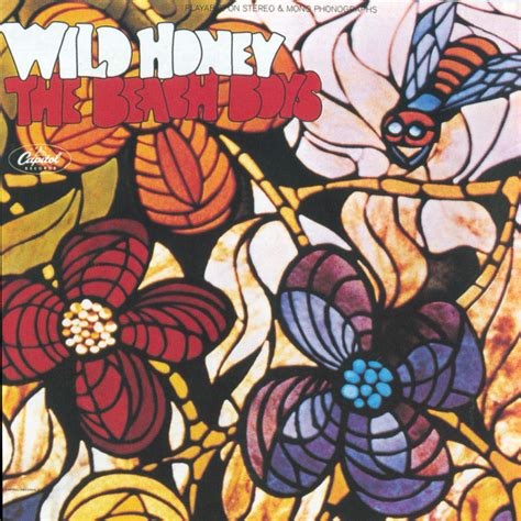 Wild Honey Remastered Album De The Beach Boys Spotify