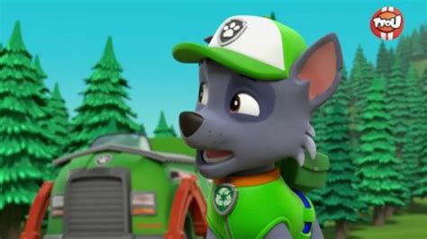 Replay TFou Du 06 05 2024 Paw Patrol La Pat Patrouille Dans La