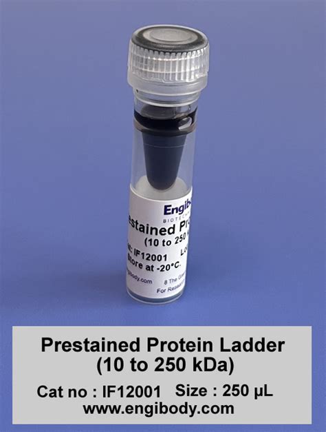 prestained protein ladder    kda  colors
