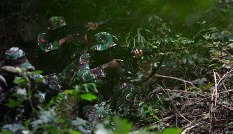 Foto Mengintip Latihan Perang Gerilya Prajurit Tni Foto Liputan