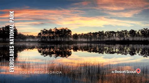 The Ultimate Guide: Everglades National Park